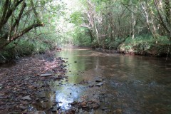 40.-Flowing-through-Weir-Copse