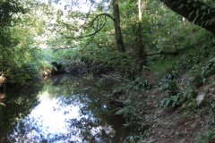 51.-Flowing-through-Burridges-Copse