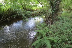 57.-Upstream-from-Tracebridge