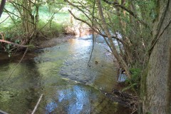 58.-Upstream-from-Tracebridge