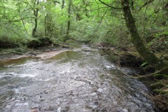 6.-Looking-upstream-to-lower-weir-Muzzy-Grove-Copse