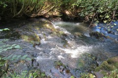 60.-Upstream-from-Tracebridge
