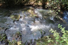 61.-Upstream-from-Tracebridge