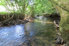 63.-Upstream-from-Tracebridge