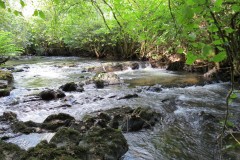64.-Upstream-from-Tracebridge