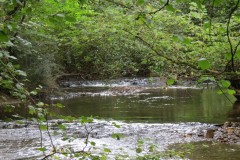 7.-Looking-downstream-to-lower-weir-Muzzy-Grove-Copse