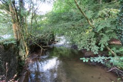 75.-Looking-downstream-from-Trace-Bridge