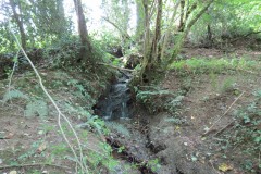 9.-Stream-joins-from-Pitt-Farm