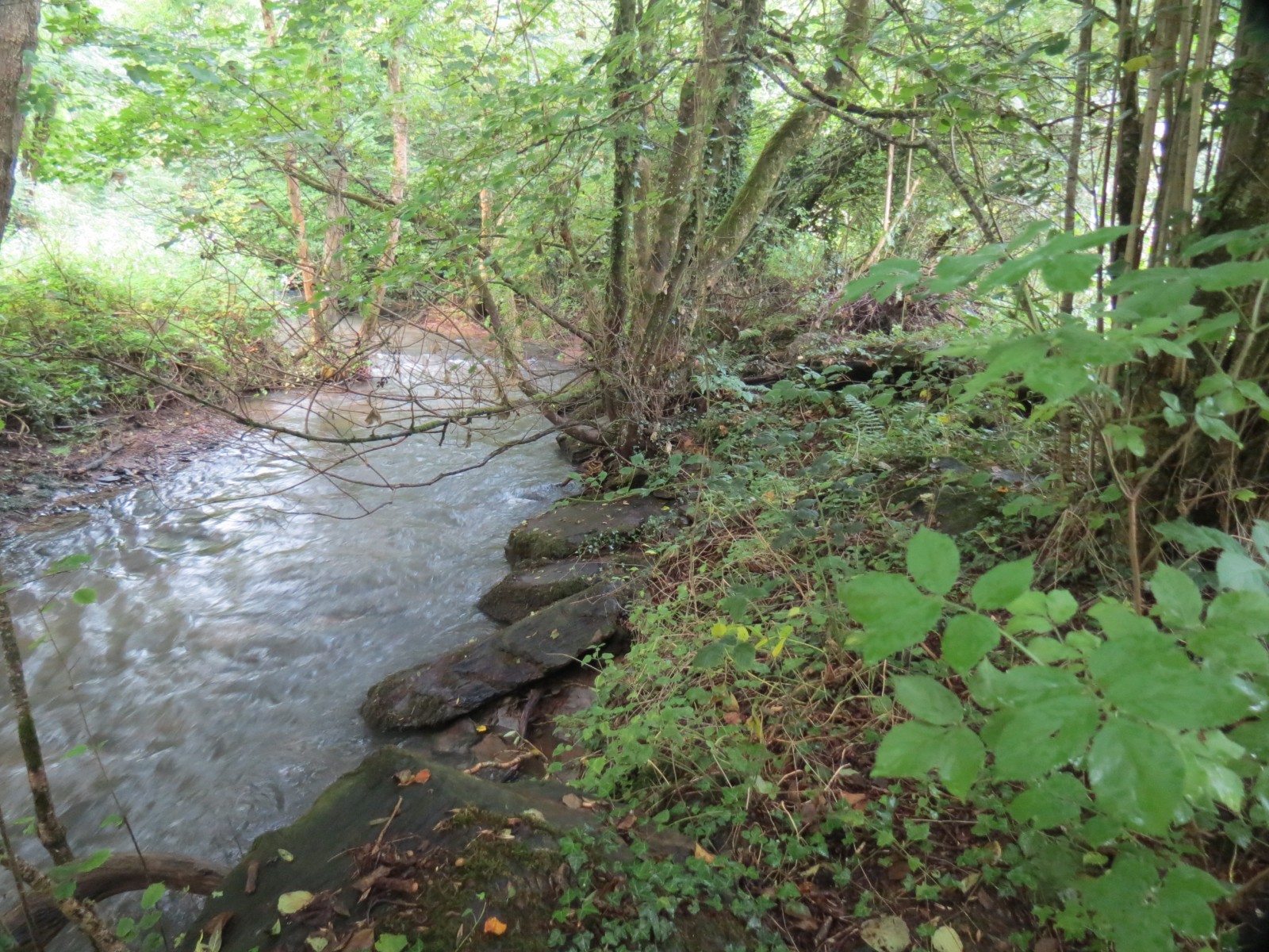 10.-Downstream-from-Tracebidge-1