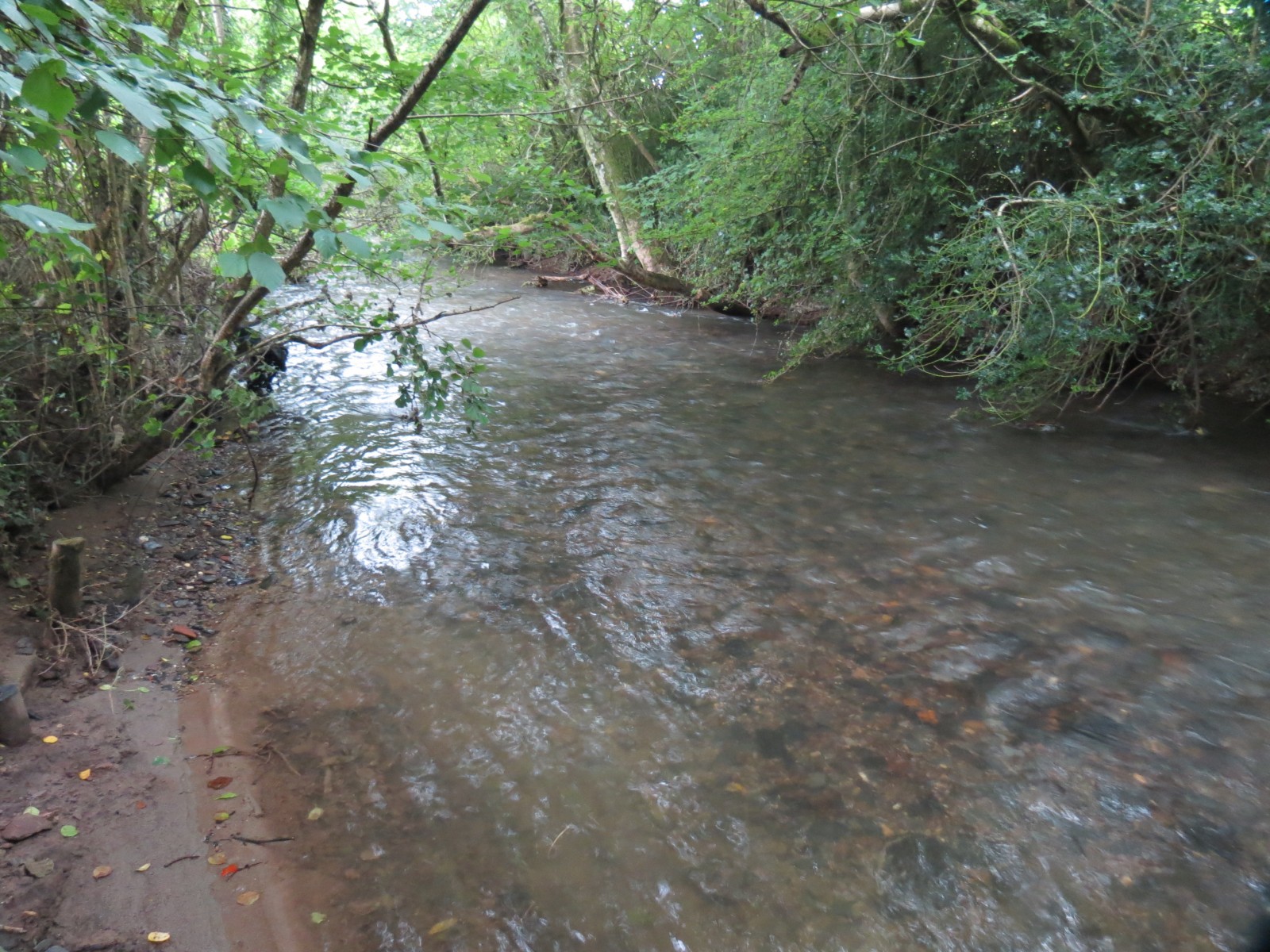 11.-Upstream-from-Greenham-1