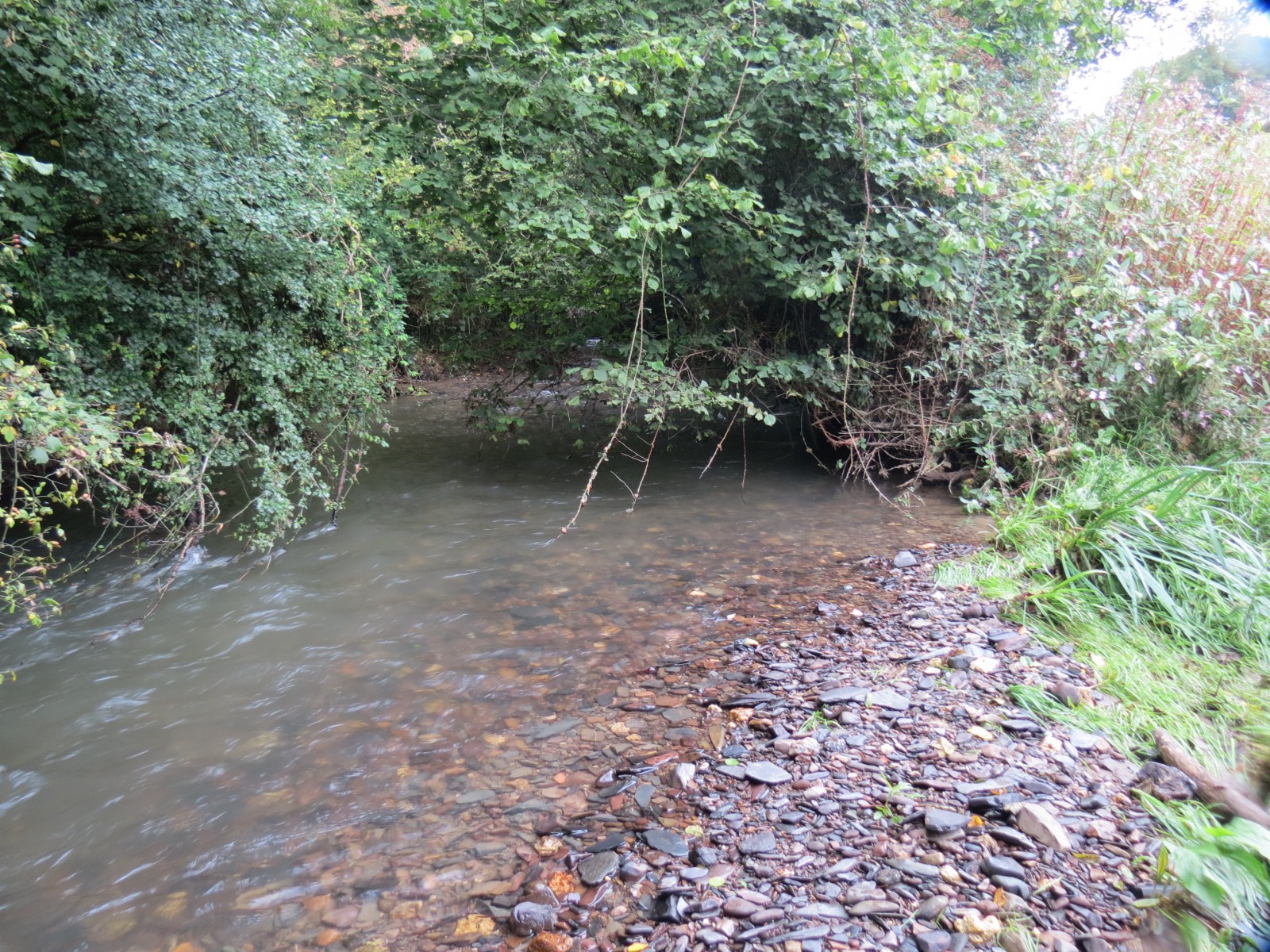 11.-Upstream-from-Greenham-10