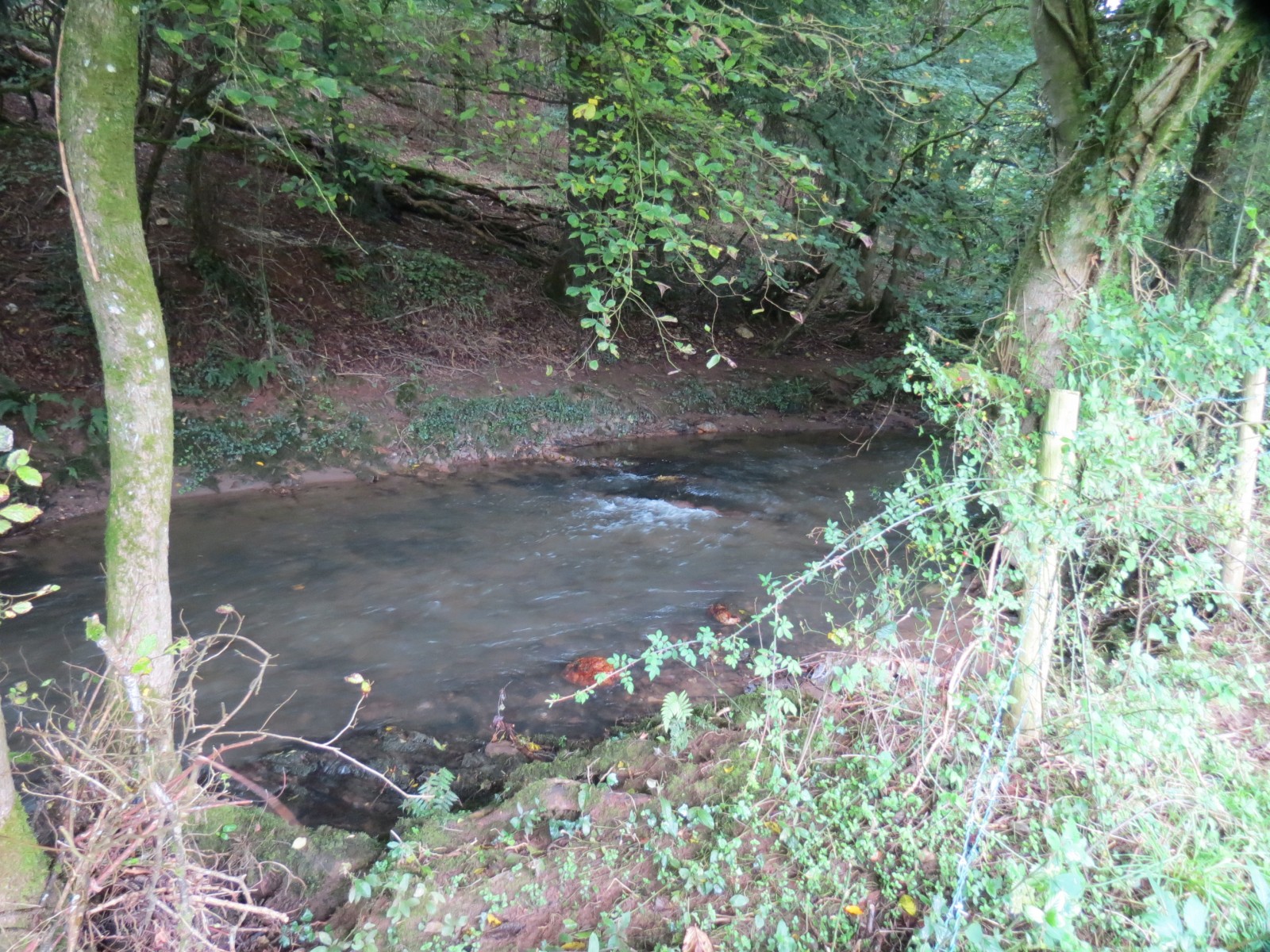11.-Upstream-from-Greenham-3