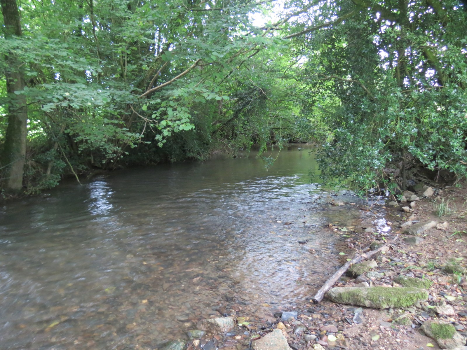 11.-Upstream-from-Greenham-9