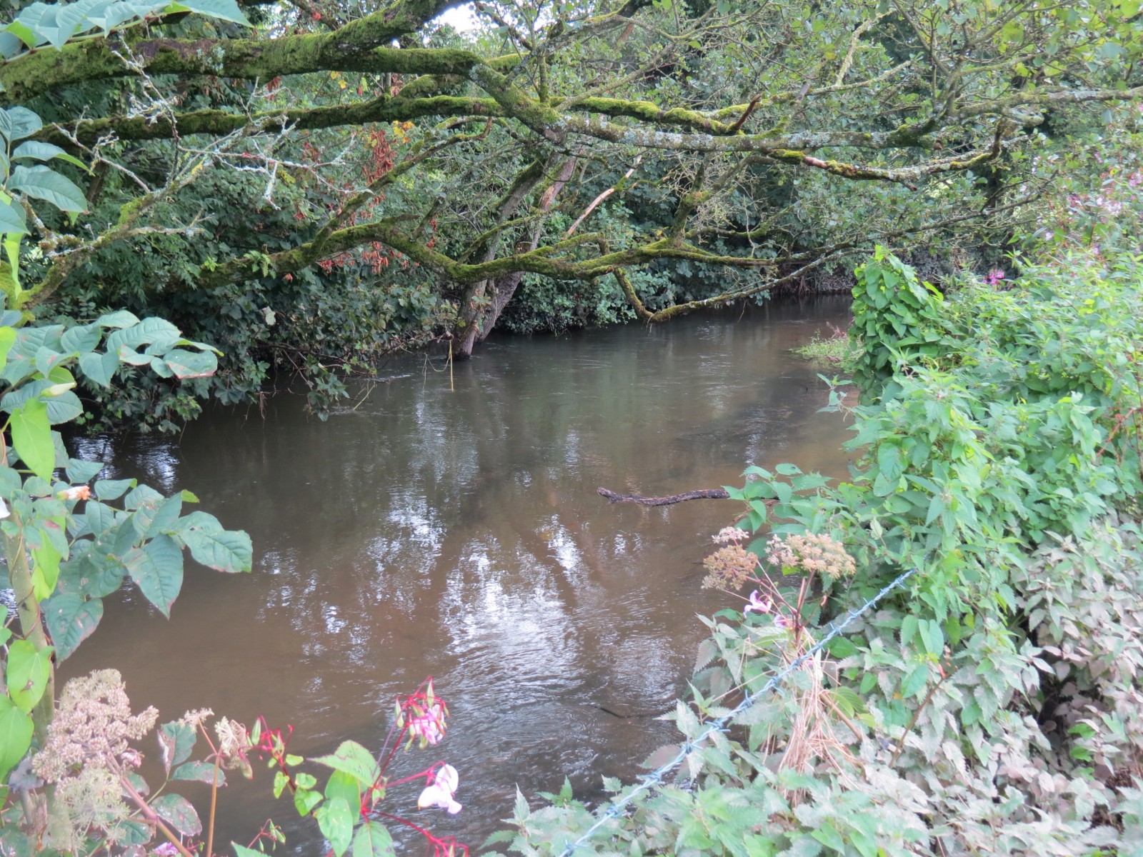 12.-Upstream-from-Greenham-3