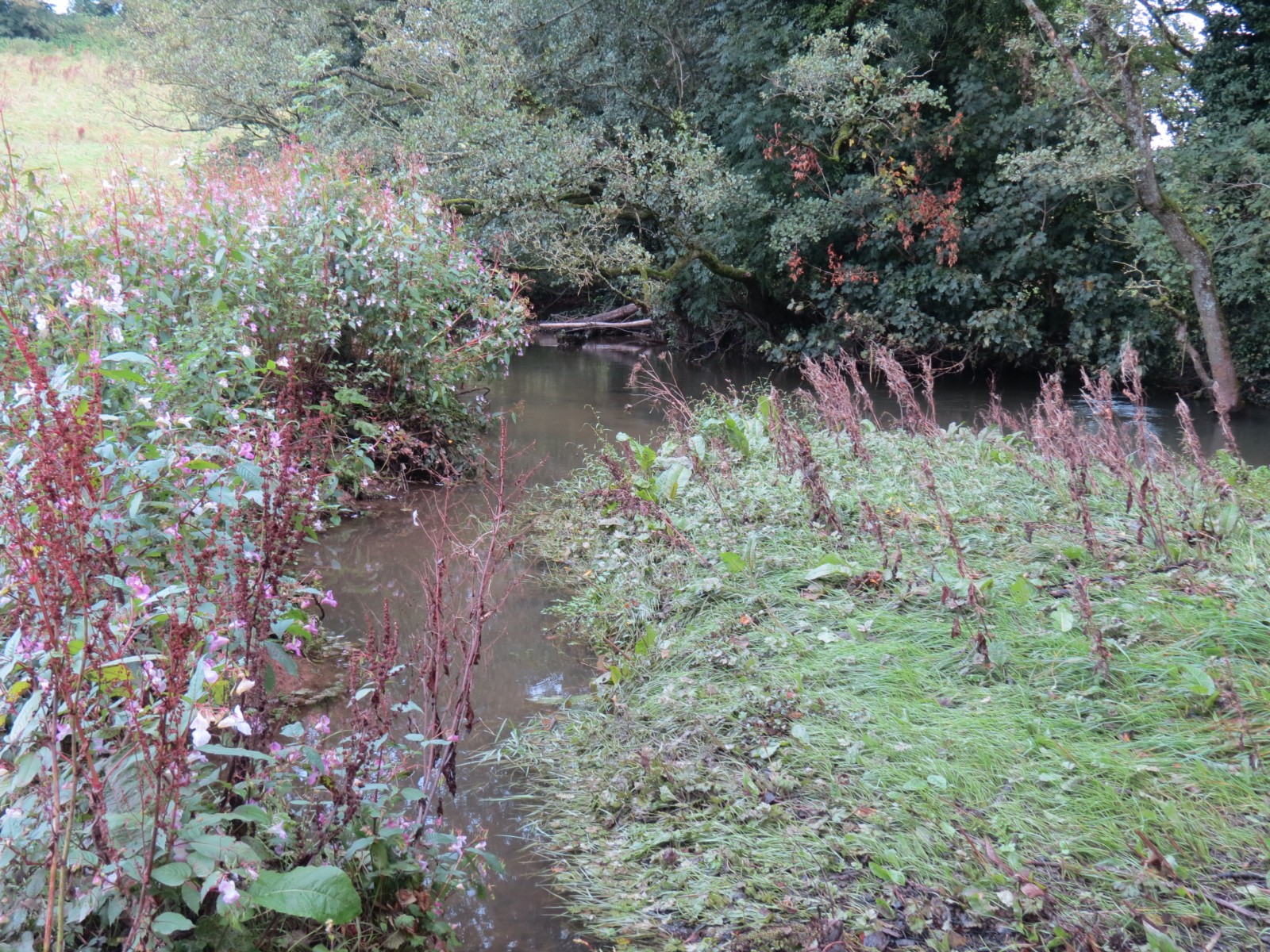 12.-Upstream-from-Greenham-4