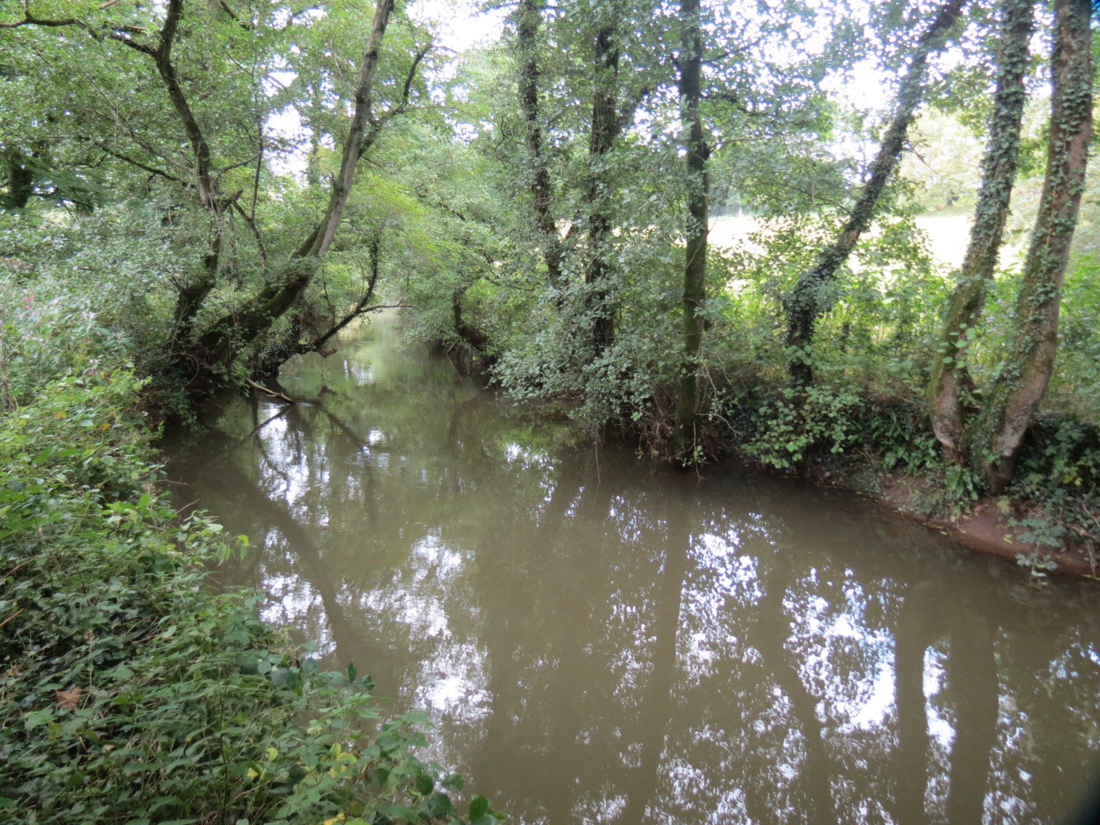 13.-Upstream-from-Greenham-Weir