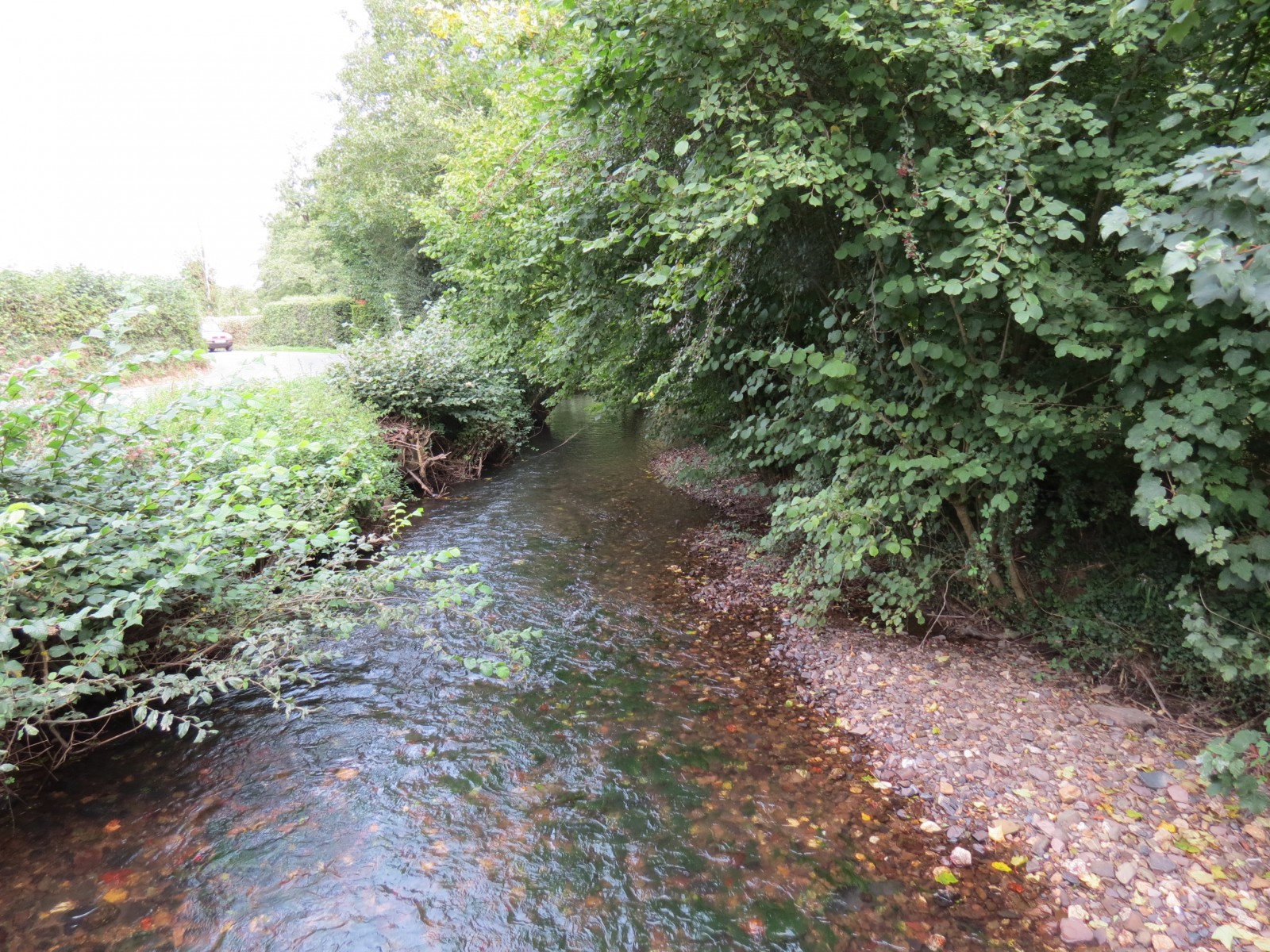 29.-Looking-downstream-from-Greenham-Bridge