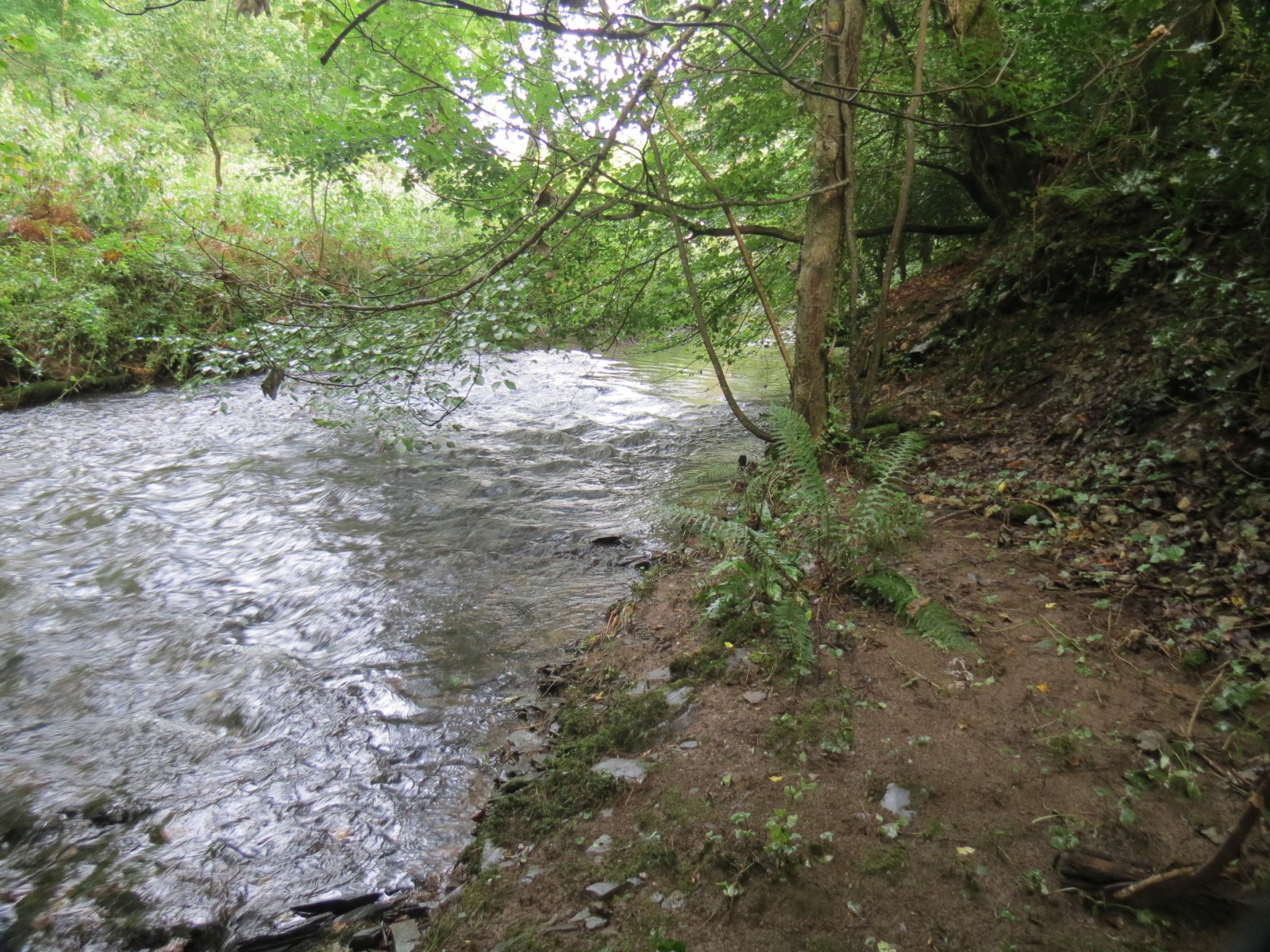 9.-Downstream-from-Tracebridge-1