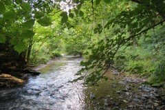 1.Downstream-from-Trace-Bridge