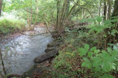 10.-Downstream-from-Tracebidge-1