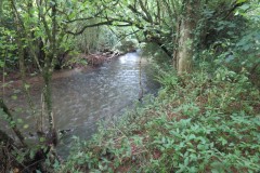 10.-Downstream-from-Tracebidge-2