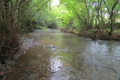 10.-Downstream-from-Tracebidge-3