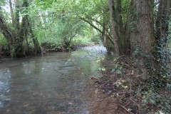 10.-Downstream-from-Tracebidge-4