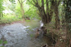 10.-Downstream-from-Tracebidge-5