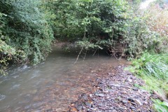 11.-Upstream-from-Greenham-10