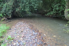 11.-Upstream-from-Greenham-11