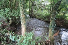 11.-Upstream-from-Greenham-12