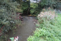 11.-Upstream-from-Greenham-13