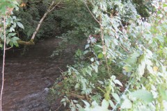 11.-Upstream-from-Greenham-14
