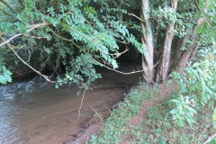 11.-Upstream-from-Greenham-2