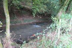 11.-Upstream-from-Greenham-3