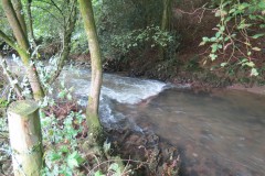 11.-Upstream-from-Greenham-4