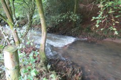 11.-Upstream-from-Greenham-4