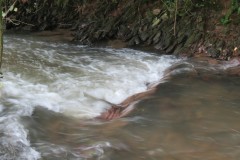 11.-Upstream-from-Greenham-5