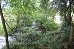 11.-Upstream-from-Greenham-6