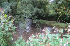 11.-Upstream-from-Greenham-7