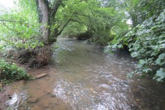 11.-Upstream-from-Greenham-8