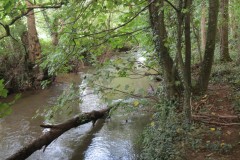 12.-Upstream-from-Greenham-1