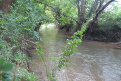 12.-Upstream-from-Greenham-2