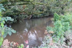 12.-Upstream-from-Greenham-3