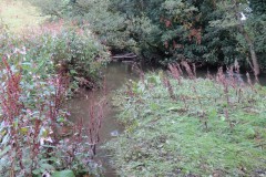 12.-Upstream-from-Greenham-4