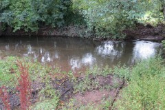 12.-Upstream-from-Greenham-5