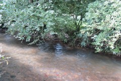 12.-Upstream-from-Greenham-6
