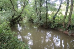 13.-Upstream-from-Greenham-Weir