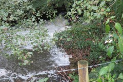 15.-Greenham-Weir