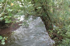 16.-Downstream-from-Greenham-Weir